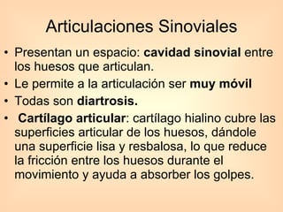 Articulaciones Sinoviales Presentan un espacio:  cavidad sinovial  entre los huesos que articulan.  Le permite a la articulación ser  muy móvil Todas son  diartrosis. Cartílago articular : cartílago hialino cubre las superficies articular de los huesos, dándole una superficie lisa y resbalosa, lo que reduce la fricción entre los huesos durante el movimiento y ayuda a absorber los golpes. 