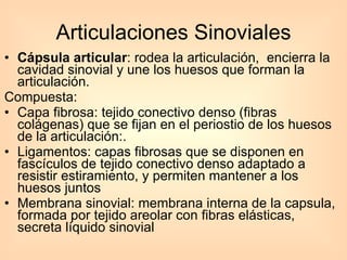 Cápsula articular : rodea la articulación,  encierra la cavidad sinovial y une los huesos que forman la articulación.  Compuesta: Capa fibrosa: tejido conectivo denso (fibras colágenas) que se fijan en el periostio de los huesos de la articulación:. Ligamentos: capas fibrosas que se disponen en fascículos de tejido conectivo denso adaptado a resistir estiramiento, y permiten mantener a los huesos juntos Membrana sinovial: membrana interna de la capsula, formada por tejido areolar con fibras elásticas, secreta líquido sinovial Articulaciones Sinoviales 