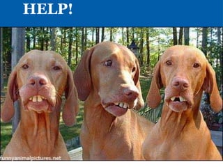 HELP!
 