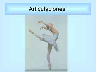 Articulaciones  