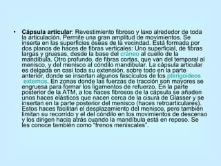 Cápsula articular : Revestimiento fibroso y laxo alrededor de toda la articulación. Permite una gran amplitud de movimientos. Se inserta en las superficies óseas de la vecindad. Está formada por dos planos de haces de fibras verticales: Uno superficial, de fibras largas y gruesas, desde la base del  cráneo  al cuello de la mandíbula. Otro profundo, de fibras cortas, que van del temporal al menisco, y del menisco al cóndilo mandibular. La cápsula articular es delgada en casi toda su extensión, sobre todo en la parte anterior, donde se insertan algunos fascículos de los  pterigoideos  externos . En zonas donde las fuerzas de tracción son mayores se engruesa para formar los ligamentos de refuerzo. En la parte posterior de la ATM, a los haces fibrosos de la cápsula se añaden unos haces elásticos que nacen cerca de la cisura de Glasser y se insertan en la parte posterior del menisco (haces retroarticulares). Estos haces facilitan el desplazamiento del menisco, pero también limitan su recorrido y el del cóndilo en los movimientos de descenso y los dirigen hacia atrás cuando la mandíbula está en reposo. Se les conoce también como “frenos meniscales”.  