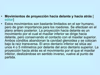 Movimientos de proyección hacia delante y hacia atrás  [ editar ] Estos movimientos son bastante limitados en el ser humano, pero de gran importancia para los roedores. Se efectúan en el plano antero posterior. La proyección hacia delante es un movimiento por el cual el maxilar inferior se dirige hacia delante, pero conservando el contacto con el maxilar superior. Ambos cóndilos abandonan la cavidad glenoidea y se colocan bajo la raíz transversa. El arco dentario inferior se sitúa así unos 4 o 5 milímetros por delante del arco dentario superior. La proyección hacia atrás es el movimiento por el que el maxilar inferior, deslizándose en sentido inverso, vuelve al punto de partida. 