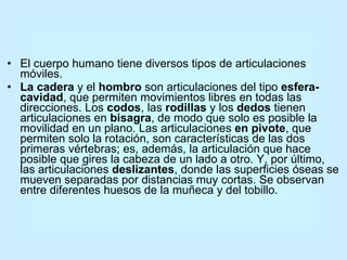 El cuerpo humano tiene diversos tipos de articulaciones móviles.  La cadera  y el  hombro  son articulaciones del tipo  esfera-cavidad , que permiten movimientos libres en todas las direcciones. Los  codos , las  rodillas  y los  dedos  tienen articulaciones en  bisagra , de modo que solo es posible la movilidad en un plano. Las articulaciones  en pivote , que permiten solo la rotación, son características de las dos primeras vértebras; es, además, la articulación que hace posible que gires la cabeza de un lado a otro. Y, por último, las articulaciones  deslizantes , donde las superficies óseas se mueven separadas por distancias muy cortas. Se observan entre diferentes huesos de la muñeca y del tobillo.  
