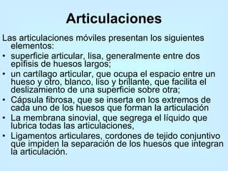 Articulaciones Las articulaciones móviles presentan los siguientes elementos:  superficie articular, lisa, generalmente entre dos epífisis de huesos largos;  un cartílago articular, que ocupa el espacio entre un hueso y otro, blanco, liso y brillante, que facilita el deslizamiento de una superficie sobre otra;  Cápsula fibrosa, que se inserta en los extremos de cada uno de los huesos que forman la articulación  La membrana sinovial, que segrega el líquido que lubrica todas las articulaciones,  Ligamentos articulares, cordones de tejido conjuntivo que impiden la separación de los huesos que integran la articulación.  