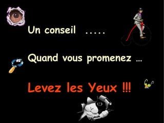 Un conseil  ..... Quand vous promenez … Levez les Yeux !!! 