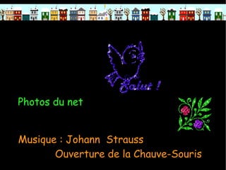 Photos du net Musique : Johann  Strauss Ouverture de la Chauve-Souris 
