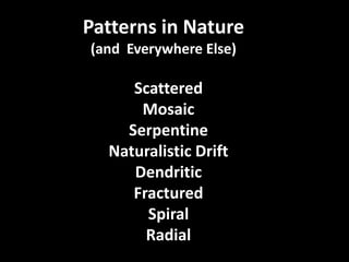 Patterns in Nature,[object Object],(and  Everywhere Else),[object Object],Patterns in Nature,[object Object],(and  Everywhere Else),[object Object],Scattered,[object Object],Mosaic,[object Object],Serpentine,[object Object],Naturalistic Drift,[object Object],Dendritic,[object Object],Fractured,[object Object],Spiral,[object Object],Radial,[object Object],Scattered,[object Object],Mosaic,[object Object],Serpentine,[object Object],Naturalistic Drift,[object Object],Dendritic,[object Object],Fractured,[object Object],Spiral,[object Object],Radial,[object Object]