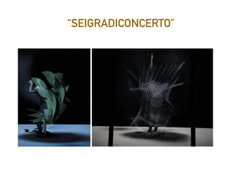 “SEIGRADICONCERTO”
 