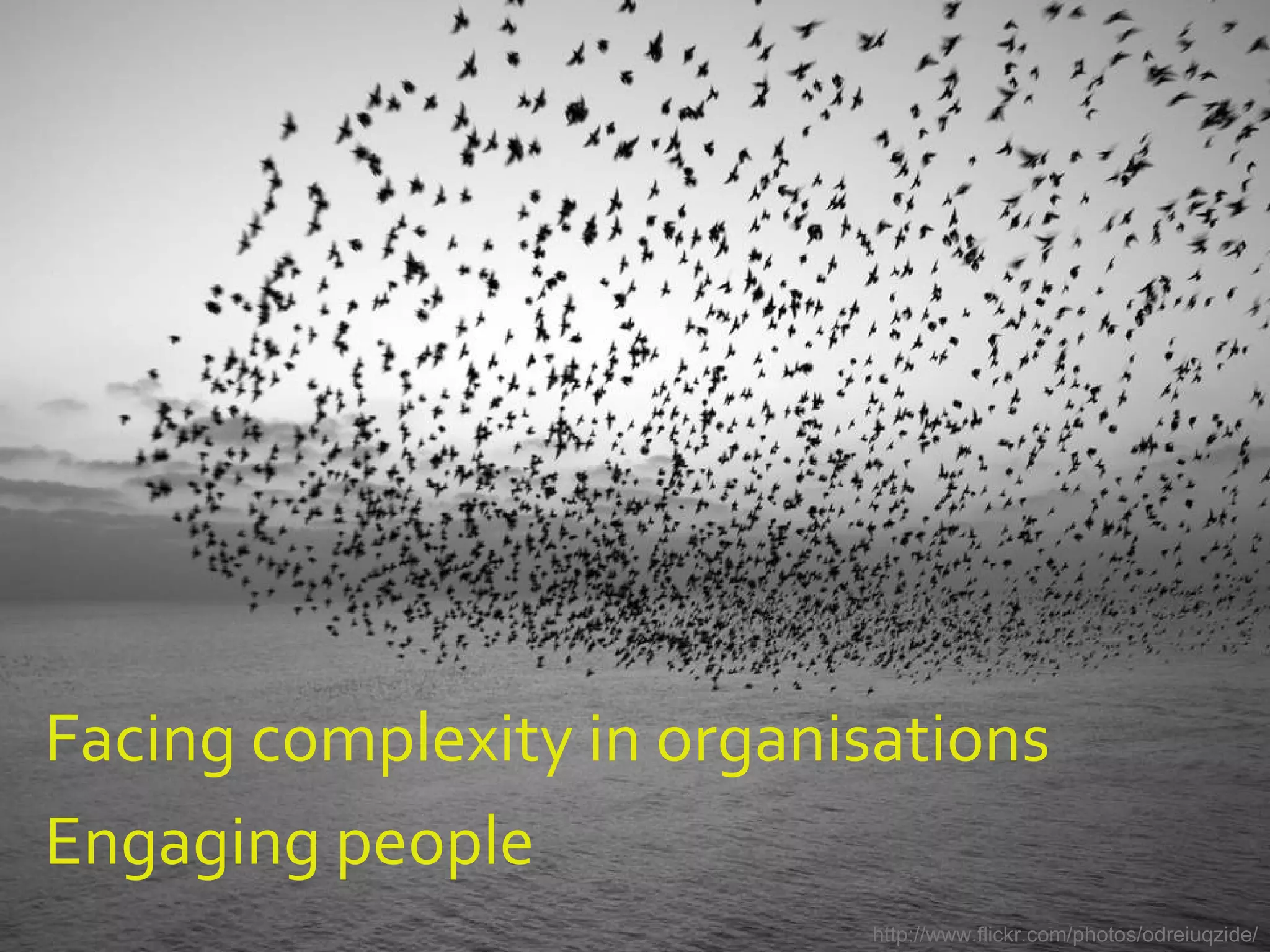 Facing complexity in organisations Engaging people http://www.flickr.com/photos/odreiuqzide/ 