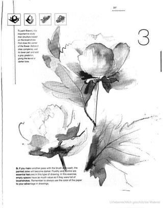 Art of drawing the complete course