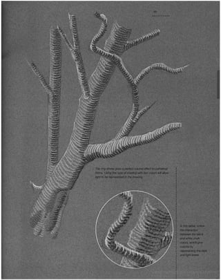 Art of drawing the complete course