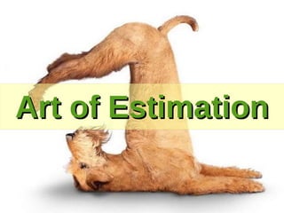 Art of Estimation
 