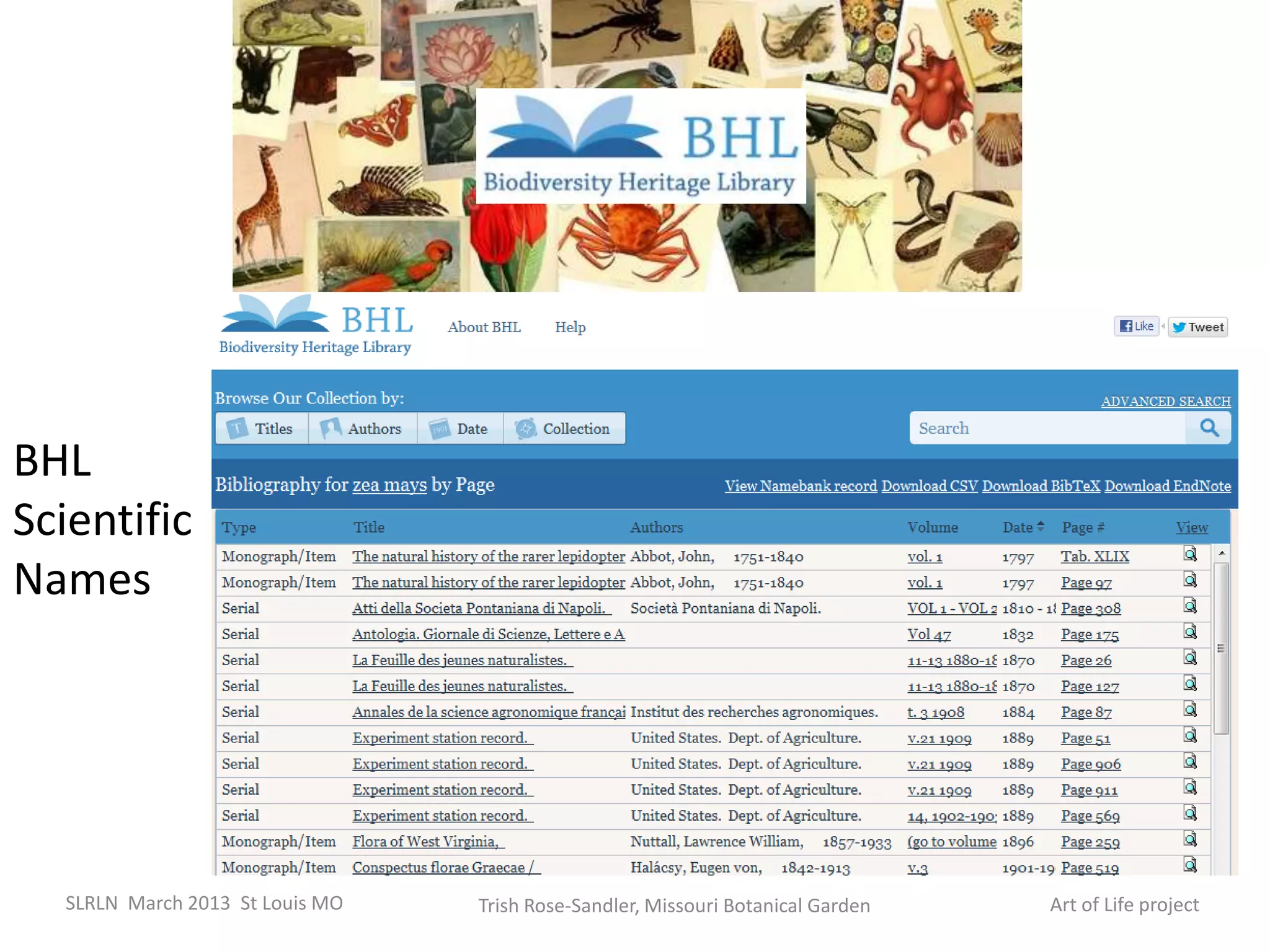 BHL
Scientific
Names




  SLRLN March 2013 St Louis MO   Trish Rose-Sandler, Missouri Botanical Garden   Art of Life project
 