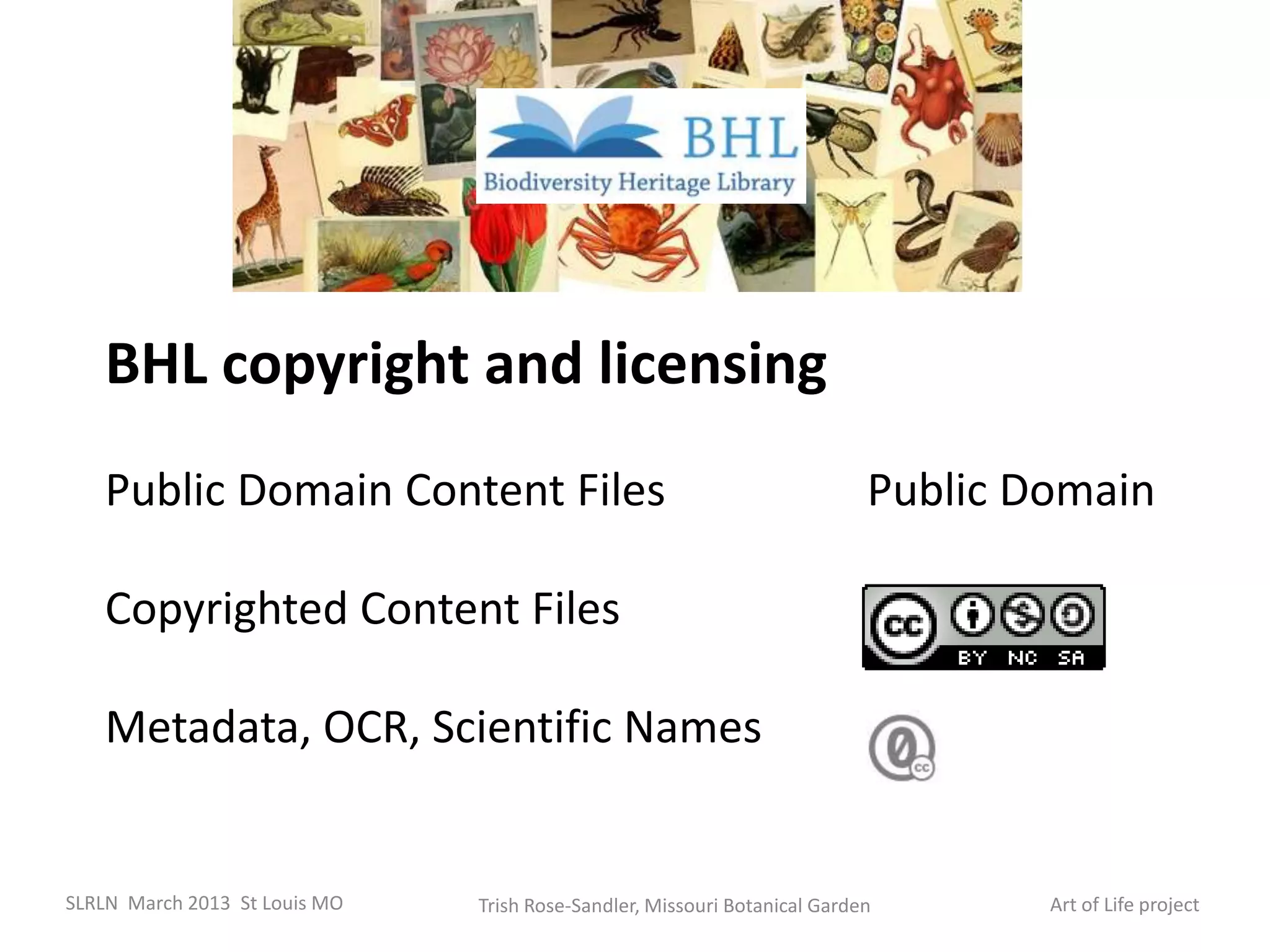 BHL copyright and licensing
   Public Domain Content Files                                             Public Domain

   Copyrighted Content Files

   Metadata, OCR, Scientific Names


SLRLN March 2013 St Louis MO   Trish Rose-Sandler, Missouri Botanical Garden       Art of Life project
 