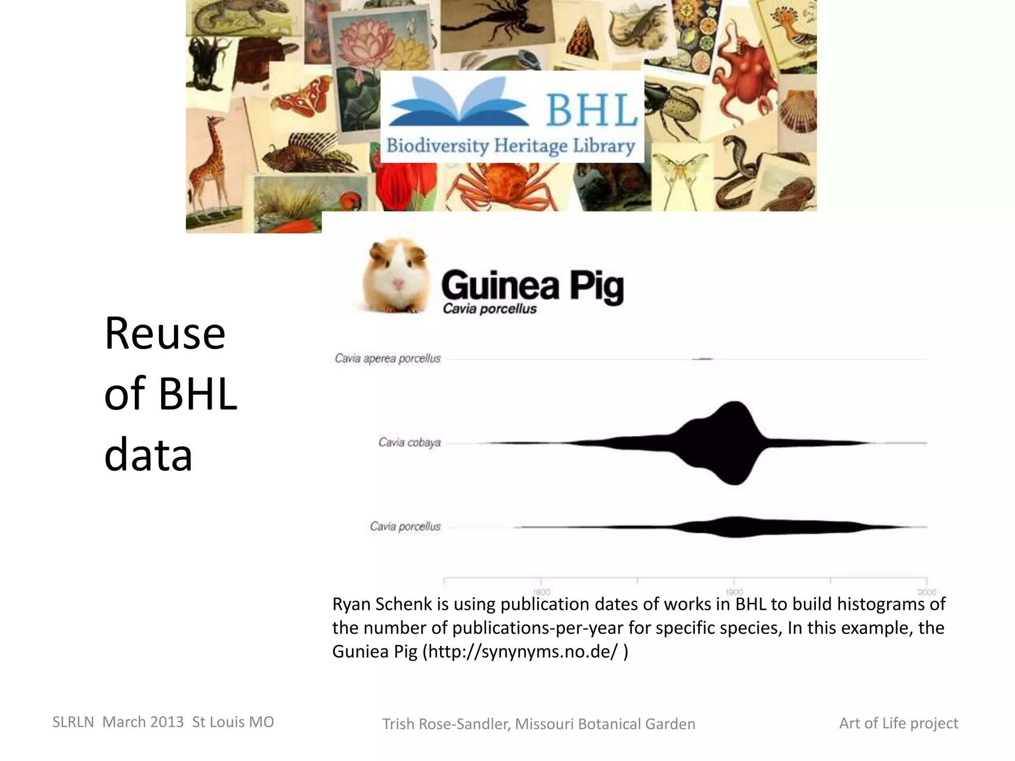 Reuse
      of BHL
      data

                               Ryan Schenk is using publication dates of works in BHL to build histograms of
                               the number of publications-per-year for specific species, In this example, the
                               Guniea Pig (http://synynyms.no.de/ )


SLRLN March 2013 St Louis MO         Trish Rose-Sandler, Missouri Botanical Garden             Art of Life project
 