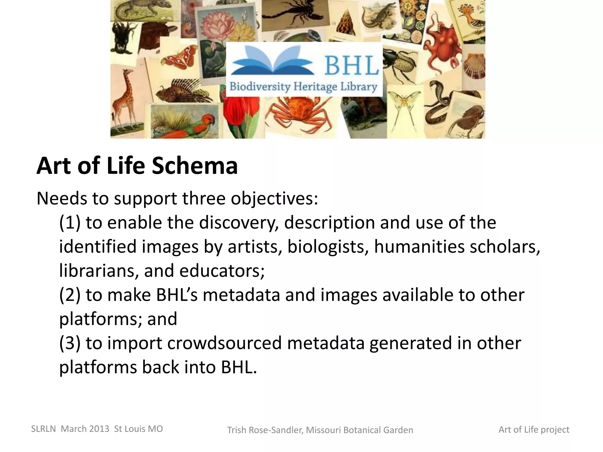 Art of Life Schema
 Needs to support three objectives:
   (1) to enable the discovery, description and use of the
   identified images by artists, biologists, humanities scholars,
   librarians, and educators;
   (2) to make BHL’s metadata and images available to other
   platforms; and
   (3) to import crowdsourced metadata generated in other
   platforms back into BHL.

SLRLN March 2013 St Louis MO   Trish Rose-Sandler, Missouri Botanical Garden   Art of Life project
 