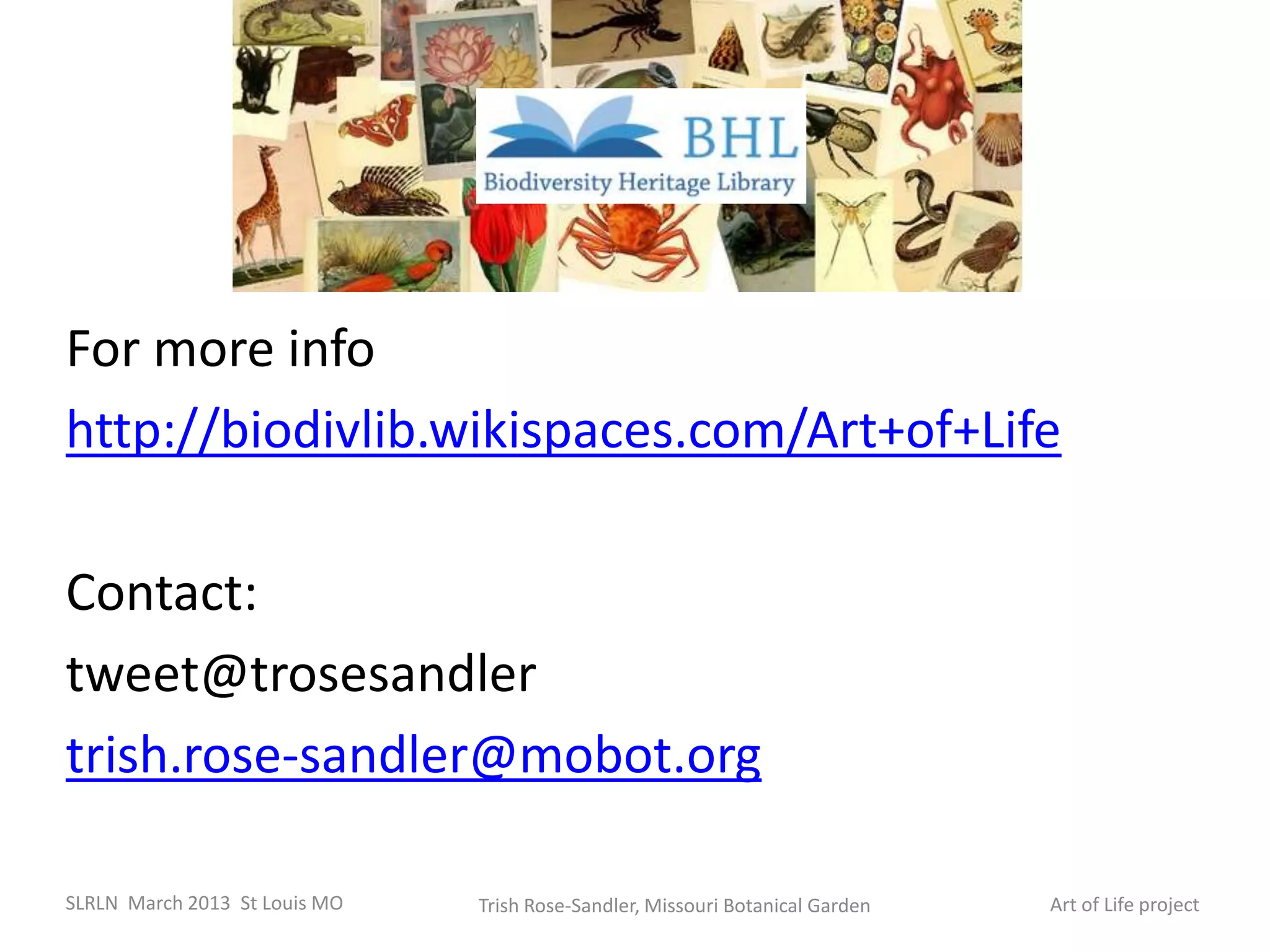 For more info
http://biodivlib.wikispaces.com/Art+of+Life

Contact:
tweet@trosesandler
trish.rose-sandler@mobot.org

SLRLN March 2013 St Louis MO   Trish Rose-Sandler, Missouri Botanical Garden   Art of Life project
 