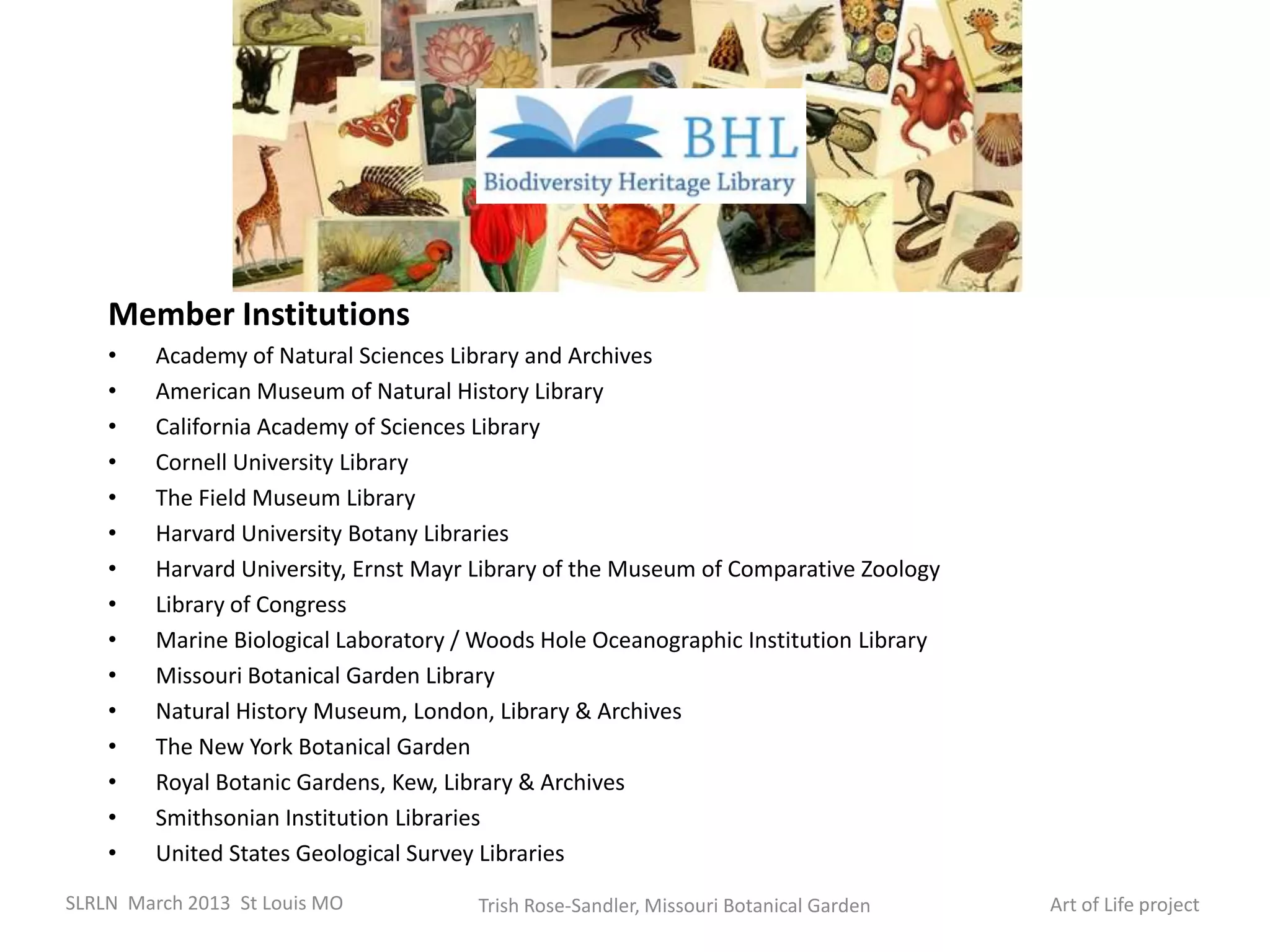 Member Institutions
    •    Academy of Natural Sciences Library and Archives
    •    American Museum of Natural History Library
    •    California Academy of Sciences Library
    •    Cornell University Library
    •    The Field Museum Library
    •    Harvard University Botany Libraries
    •    Harvard University, Ernst Mayr Library of the Museum of Comparative Zoology
    •    Library of Congress
    •    Marine Biological Laboratory / Woods Hole Oceanographic Institution Library
    •    Missouri Botanical Garden Library
    •    Natural History Museum, London, Library & Archives
    •    The New York Botanical Garden
    •    Royal Botanic Gardens, Kew, Library & Archives
    •    Smithsonian Institution Libraries
    •    United States Geological Survey Libraries
SLRLN March 2013 St Louis MO           Trish Rose-Sandler, Missouri Botanical Garden   Art of Life project
 
