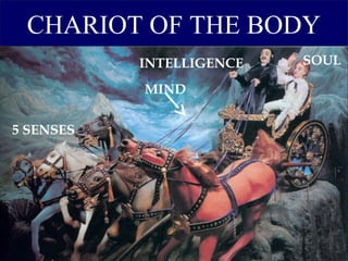 CHARIOT OF THE BODY
5 SENSES
MIND
INTELLIGENCE SOUL
 