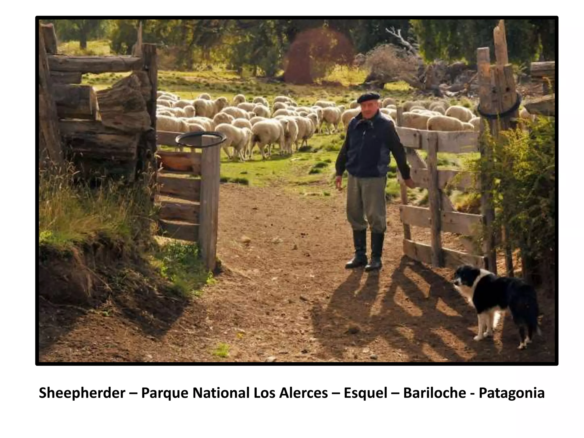 Sheepherder – Parque National Los Alerces – Esquel – Bariloche - Patagonia
 