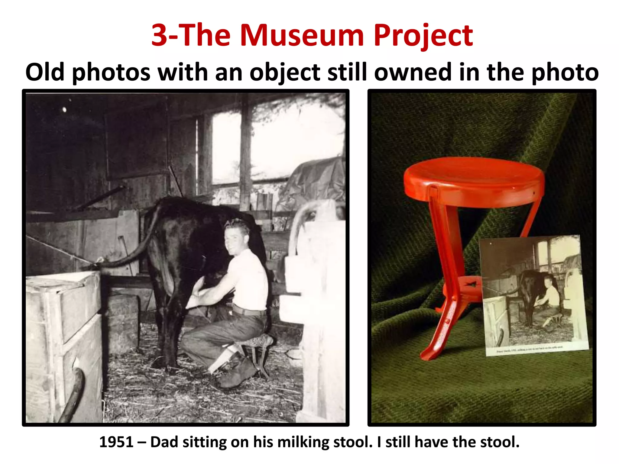 3-The Museum Project
Old photos with an object still owned in the photo
1951 – Dad sitting on his milking stool. I still have the stool.
 