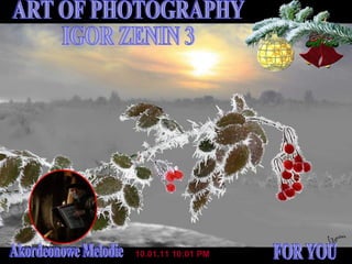 10.01.11   10:01 PM ART OF PHOTOGRAPHY IGOR ZENIN 3 FOR YOU Akordeonowe Melodie 