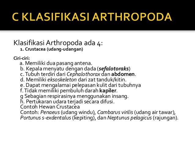 Artopoda ( smk duta pratama indonesia )