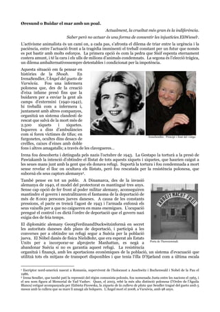 Øresund o Buidar el mar amb un poal.
Actualment, la crueltat més gran és la indiferència.
Saber però no actuar és una forma de consentir les injustícies.EliWiesel1.
L’activisme animalista és un camí on, a cada pas, s’afronta el dilema de triar entre la urgència i la
paciència, entre l’actuació front a la tragèdia imminenti el treball constant per un futur que només
es pot bastir amb molts esforços. La primera opció és com la pedra que Sísif espenta eternament
costera amunt, i té la cara i els ulls de milions d’animals condemnats. La segona és l’elecció tràgica,
un dilema ambalternativessempre detestables i condicionat per la impotència.
Aquesta situació em fa pensar en
històries de la Shoah.
En
IrenaSendler, l’Àngel del gueto de
Varsòvia. Fou una infermera
polonesa que, des de la creació
d’eixa infame presó fins que la
buidaren per a enviar la gent als
camps d’extermini (1940-1942),
hi treballà com a infermera i,
juntament amb altres companyes,
organitzà un sistema clandestí de
rescat que salvà de la mort més de
2.500
xiquets
i
xiquetes.
Isqueren a dins d’ambulàncies
com si foren víctimes de tifus; en
furgonetes, ocultes dins desacs de
creïlles, caixes d’eines amb doble
fons i altres amagatalls; a través de les clavegueres…

IrenaSendler. Principi i final del viatge.

Irena fou descoberta i detinguda pels nazis l’octubre de 1943. La Gestapo la torturà a la presó de
Pawiakamb la intenció d’obtindre el llistat de tots aquests xiquets i xiquetes, que haurien caigut a
les seues mans junt amb la gent que els donava refugi. Suportà la tortura i fou condemnada a mort
sense revelar el lloc on ocultava els llistats, però fou rescatada per la resistència polonesa, que
subornà els seus captors alemanys2.
També pense en tot un poble. A Dinamarca, des de la invasió
alemanya de 1940, el model del protectorat es mantingué tres anys.
Sense cap opció de fer front al poder militar alemany, aconseguiren
mantindre el govern i neutralitzaren el fantasma de la deportació de
més de 8.000 persones jueves daneses. A causa de les constants
pressions, el pacte es trencà l’agost de 1943 i l’armada enfonsà els
seus vaixells per a que no caigueren en mans enemigues. L’ocupació
prengué el control i es dictà l’ordre de deportació que el govern nazi
exigia des de feia temps.
El diplomàtic alemany GeorgFerdinandDuckwitzinformà en secret
les autoritats daneses dels plans de deportació, i participà a les
converses per a obtindre un refugi segur a Suècia per la població
jueva. El Nòbel danès de física NielsBohr, que era esperat als Estats
Units per a incorporar-se alprojecte Manhattan, es negà a Porta de Theresienstadt.
abandonar Suècia si no es garantia aquest refugi. La resistència
organitzà i finançà, amb les aportacions econòmiques de la població, un sistema d’evacuació que
utilitzà tots els mitjans de transport disponibles i que tenia l’illa D’Sjæland com a última escala
Escriptor nord-americà nascut a Romania, supervivent de l’holocaust a Auschwitz i Buchenwald i Nobel de la Pau el
1986.
2 Irena Sendler, que també patí la repressió del règim comunista polonès, fou nomenada Justa entre les nacions el 1965, i
el seu nom figura al Memorial de Yad Vashev. Quan, el 2003, rebé la més alta distinció polonesa (l’Ordre de l’Àguila
Blanca) estigué acompanyada per Elzbieta Ficowska, la xiqueta de la cullera de plata que Sendler tragué del gueto amb 5
mesos amb la cullera que sa mare li amagà als bolquers. L’Àngel morí el 2008, a Varsòvia, amb 98 anys.
1

 