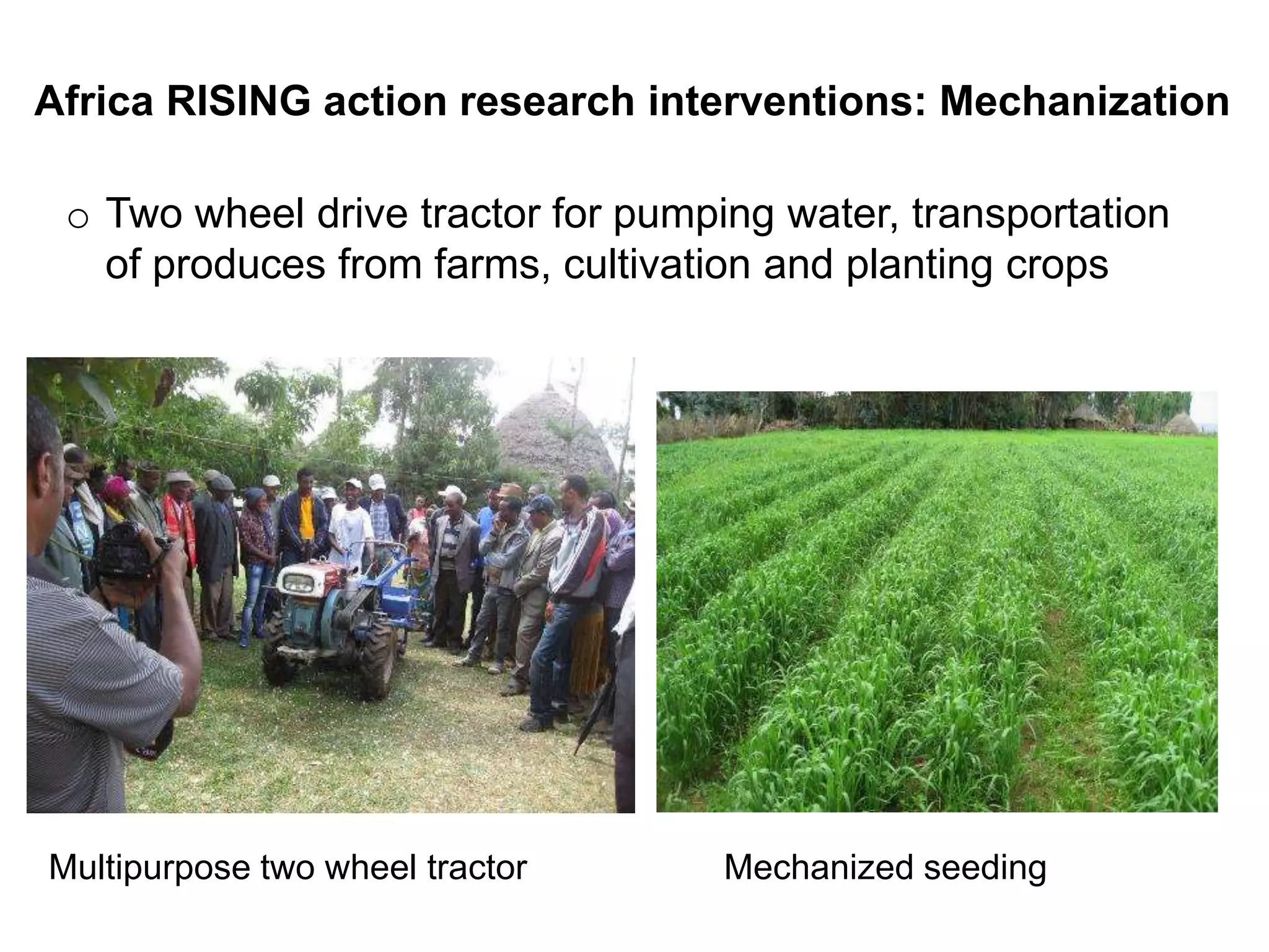 Multipurpose two wheel tractor Mechanized seeding
Africa RISING action research interventions: Mechanization
o Two wheel drive tractor for pumping water, transportation
of produces from farms, cultivation and planting crops
 