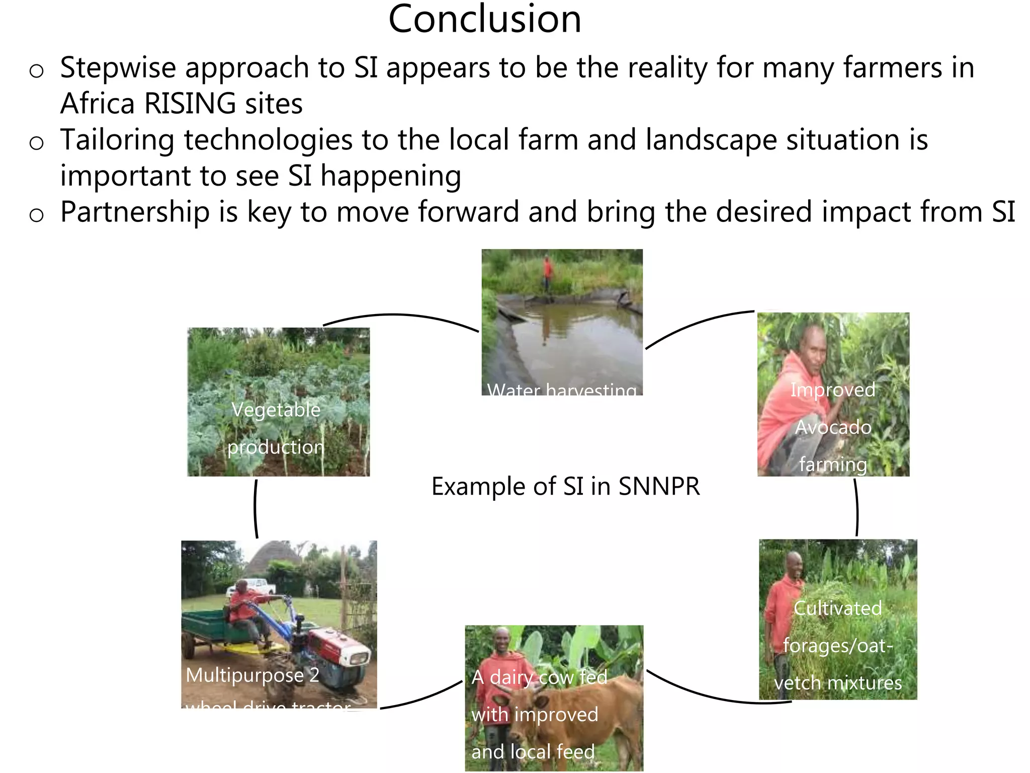 Water harvesting Improved
Avocado
farming
Cultivated
forages/oat-
vetch mixturesA dairy cow fed
with improved
and local feed
Multipurpose 2
wheel drive tractor
Vegetable
production
Example of SI in SNNPR
Conclusion
o Stepwise approach to SI appears to be the reality for many farmers in
Africa RISING sites
o Tailoring technologies to the local farm and landscape situation is
important to see SI happening
o Partnership is key to move forward and bring the desired impact from SI
 