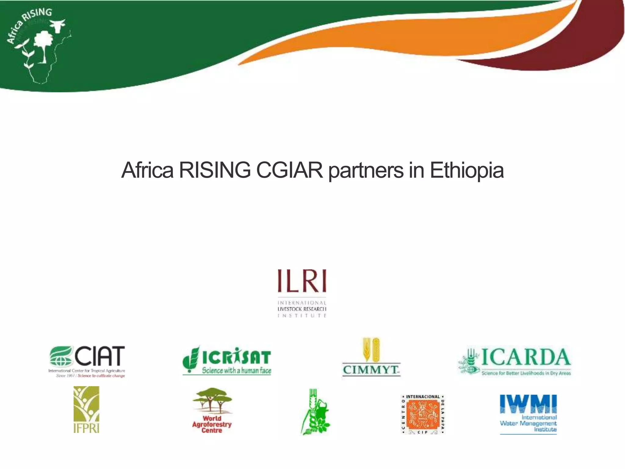 Africa RISING CGIAR partners in Ethiopia
 