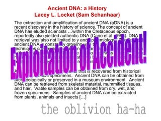 The extraction and amplification of ancient DNA (aDNA) is a
recent discovery in the history of science. The concept of ancient
DNA has eluded scientists …within the Cretaceous epoch,
reportedly also yielded authentic DNA (Cano et al. 1993). DNA
retrieval was also not limited to y and epidemiology. The field of
ancient DNA is constantly growing with the advent of new
techniques concerning extraction and amplification in conjunction
with individuals such as Savante Pääbo and Russ Higuchi. There
have been numerous tissues that have been subjected to aDNA
research including Neanderthal remains, King Tut, and Otzi.
Ancient DNA is genetic material that is recovered from historical
and pre-historical specimens. Ancient DNA can be obtained from
archaeologically or preserved in a museum environment. Ancient
DNA can be retrieved from skeletal material, mummified tissues,
and hair. Viable samples can be obtained from dry, wet, and
frozen specimens. Samples of ancient DNA can be extracted
from plants, animals and insects […]
Ancient DNA: a History
Lacey L. Locket (Sam Schanhaar)
 