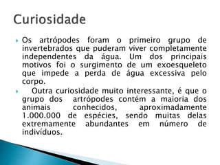  Os artrópodes foram o primeiro grupo de 
invertebrados que puderam viver completamente 
independentes da água. Um dos principais 
motivos foi o surgimento de um exoesqueleto 
que impede a perda de água excessiva pelo 
corpo. 
 Outra curiosidade muito interessante, é que o 
grupo dos artrópodes contém a maioria dos 
animais conhecidos, aproximadamente 
1.000.000 de espécies, sendo muitas delas 
extremamente abundantes em número de 
indivíduos. 
 