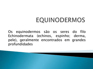 Os equinodermos são os seres do filo 
Echinodermata (echinos, espinho; derma, 
pele), geralmente encontrados em grandes 
profundidades 
 