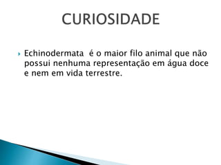  Echinodermata é o maior filo animal que não 
possui nenhuma representação em água doce 
e nem em vida terrestre. 
