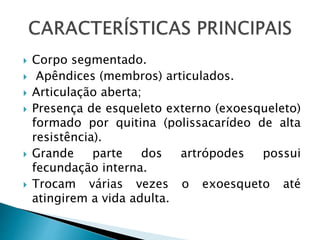  Corpo segmentado. 
 Apêndices (membros) articulados. 
 Articulação aberta; 
 Presença de esqueleto externo (exoesqueleto) 
formado por quitina (polissacarídeo de alta 
resistência). 
 Grande parte dos artrópodes possui 
fecundação interna. 
 Trocam várias vezes o exoesqueto até 
atingirem a vida adulta. 
 