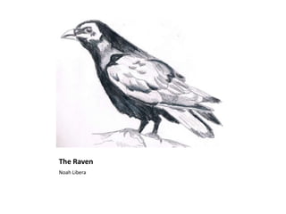 The Raven
Noah Libera