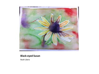 Black-eyed Susan
Noah Libera