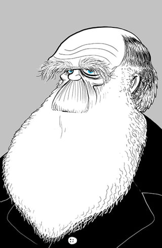 Recent Samples of Cartoon Maps, Caricatures, T Shirts and Illustrations for Apps