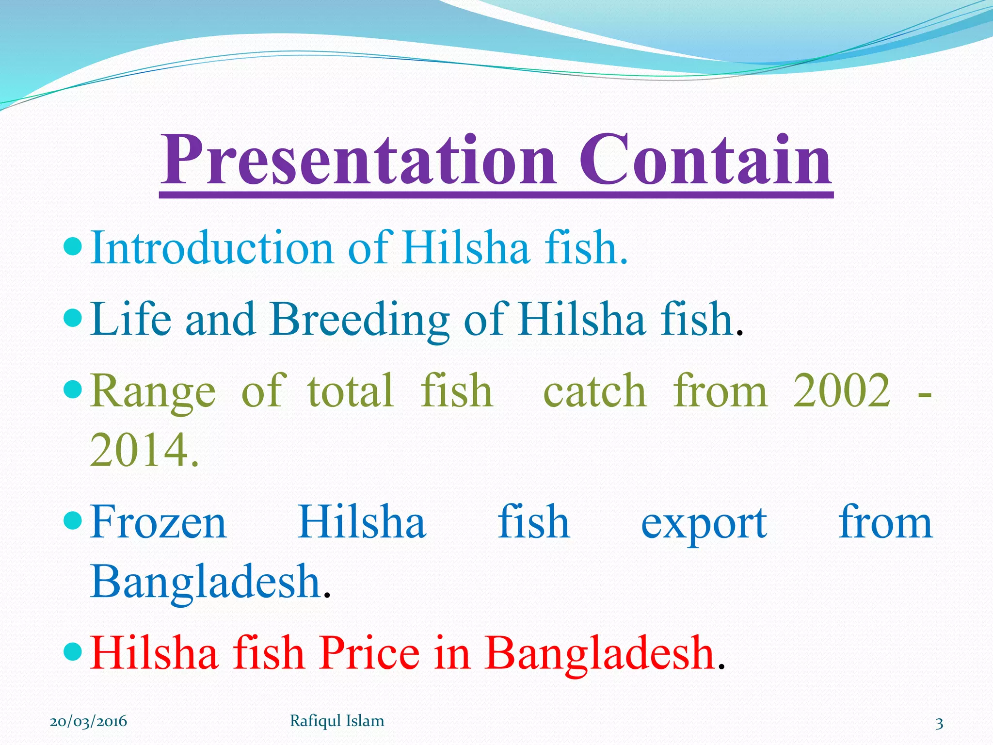 Presentation on Hilsha Fish of Bangladesh | PPTX