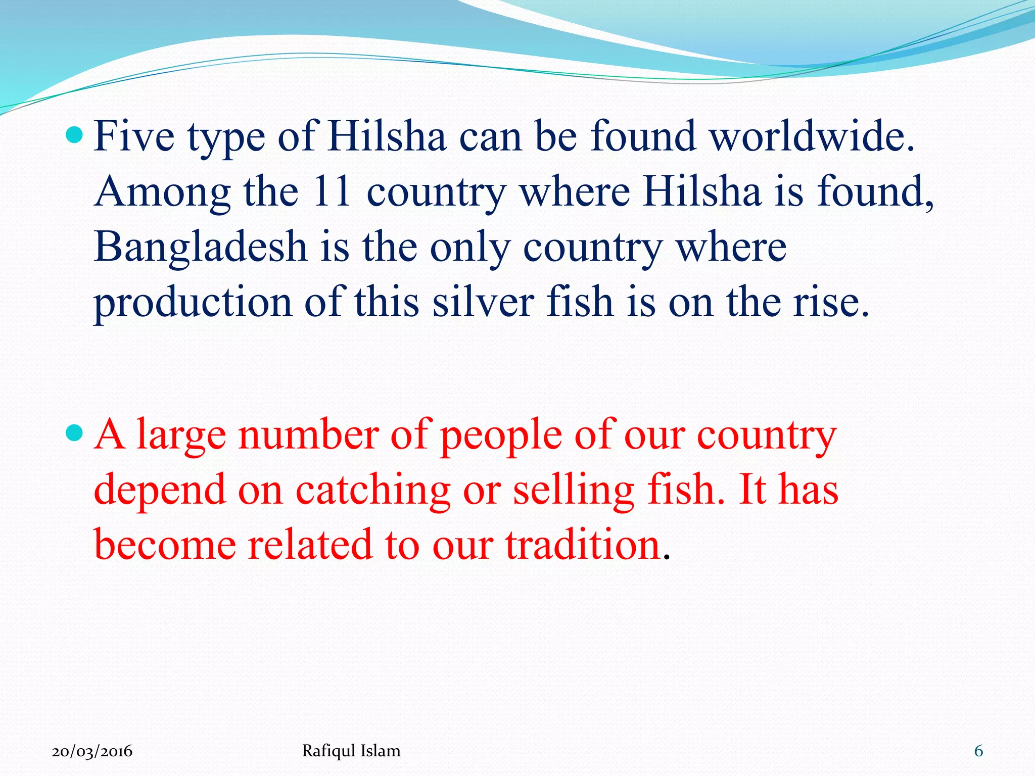 Presentation on Hilsha Fish of Bangladesh | PPTX