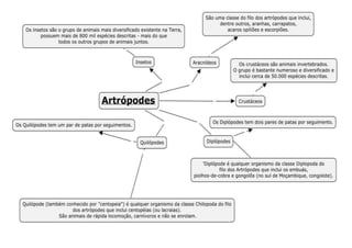 Artropodes