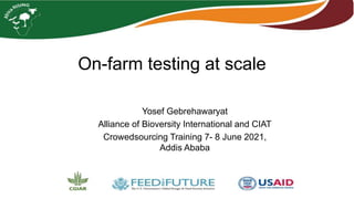 On-farm testing at scale
Yosef Gebrehawaryat
Alliance of Bioversity International and CIAT
Crowedsourcing Training 7- 8 June 2021,
Addis Ababa
 