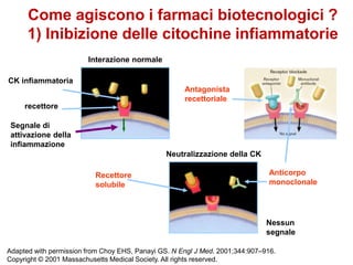 Adapted with permission from Choy EHS, Panayi GS. N Engl J Med. 2001;344:907–916.
Copyright © 2001 Massachusetts Medical Society. All rights reserved.
Come agiscono i farmaci biotecnologici ?
1) Inibizione delle citochine infiammatorie
CK infiammatoria
Interazione normale
Neutralizzazione della CK
recettore
Recettore
solubile
Anticorpo
monoclonale
Nessun
segnale
Segnale di
attivazione della
infiammazione
Antagonista
recettoriale
 