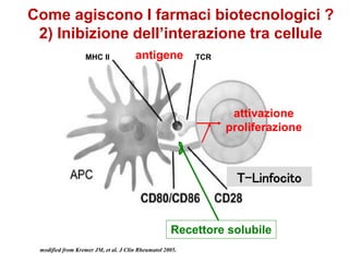 T-Linfocito
antigeneMHC II TCR
attivazione
proliferazione
Recettore solubile
modified from Kremer JM, et al. J Clin Rheumatol 2005.
Come agiscono I farmaci biotecnologici ?
2) Inibizione dell’interazione tra cellule
 