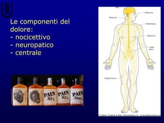 Le componenti del
dolore:
- nocicettivo
- neuropatico
- centrale
 
