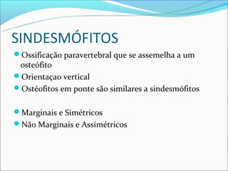 SINDESMÓFITOS
Ossificação paravertebral que se assemelha a um
 osteófito
Orientaçao vertical
Ostéofitos em ponte são similares a sindesmófitos


Marginais e Simétricos
Não Marginais e Assimétricos
 