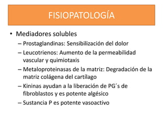 FISIOPATOLOGÍA
• Mediadores solubles
– Prostaglandinas: Sensibilización del dolor
– Leucotrienos: Aumento de la permeabilidad
vascular y quimiotaxis
– Metaloproteinasas de la matriz: Degradación de la
matriz colágena del cartílago
– Kininas ayudan a la liberación de PG´s de
fibroblastos y es potente algésico
– Sustancia P es potente vasoactivo
 
