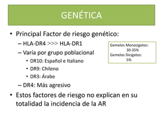 GENÉTICA
• Principal Factor de riesgo genético:
– HLA-DR4 >>> HLA-DR1
– Varía por grupo poblacional
• DR10: Español e Italiano
• DR9: Chileno
• DR3: Árabe
– DR4: Más agresivo
• Estos factores de riesgo no explican en su
totalidad la incidencia de la AR
Gemelos Monocigotos:
30-35%
Gemelos Dicigotos:
5%
 