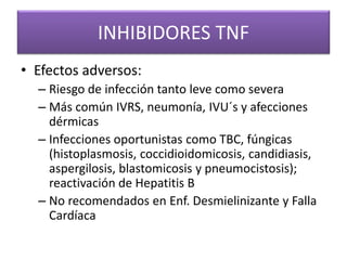 INHIBIDORES TNF
• Efectos adversos:
– Riesgo de infección tanto leve como severa
– Más común IVRS, neumonía, IVU´s y afecciones
dérmicas
– Infecciones oportunistas como TBC, fúngicas
(histoplasmosis, coccidioidomicosis, candidiasis,
aspergilosis, blastomicosis y pneumocistosis);
reactivación de Hepatitis B
– No recomendados en Enf. Desmielinizante y Falla
Cardíaca
 